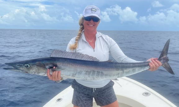 Wahoo Fishing in Tampa, Florida