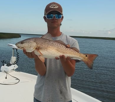 Redfish fishing in Saint Bernard, Louisiana