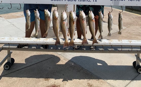 Redfish, Speckled Trout / Spotted Seatrout fishing in South Padre Island, Texas