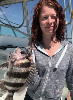 Sheepshead fishing in Galveston, Texas