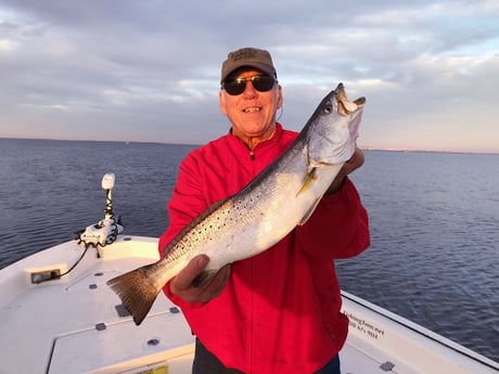 Speckled Trout / Spotted Seatrout fishing in Sulphur, Louisiana