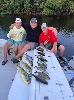 Mahi Mahi / Dorado fishing in Fort Lauderdale, Florida