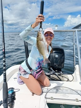 Mangrove Snapper fishing in St. Petersburg, Florida