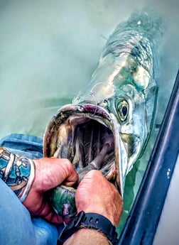 Tarpon fishing in Key West, Florida