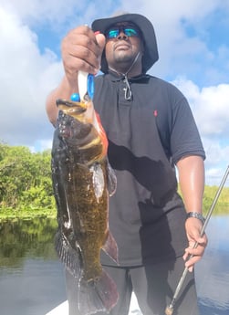 Peacock Bass fishing in Fort Lauderdale, Florida