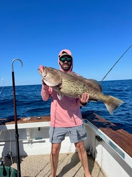 Gag Grouper Fishing in Orange Beach, Alabama