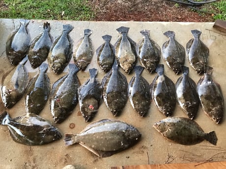 Flounder fishing in Dauphin Island, Alabama