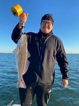 Redfish Fishing in Corpus Christi, Texas