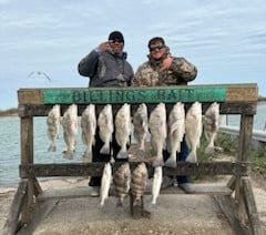 Black Drum, Sheepshead, Speckled Trout / Spotted Seatrout Fishing in Corpus Christi, Texas