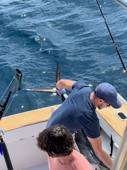 Sailfish Fishing in West Palm Beach, Florida