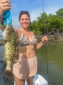 Gag Grouper fishing in Naples, Florida