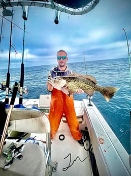 Gag Grouper Fishing in Pensacola, Florida