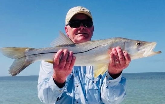 Snook Fishing in Islamorada, Florida