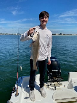 Sheepshead fishing in Orange Beach, Alabama