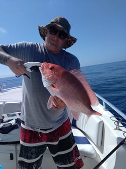 Red Snapper fishing in Clearwater, Florida