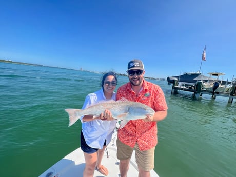 Redfish Fishing in Sarasota, Florida