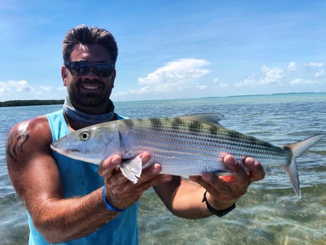 Bonefish fishing in Tavernier, Florida