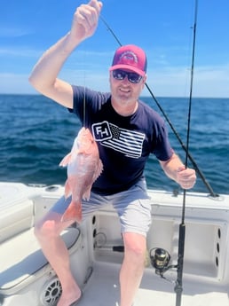 Black Drum fishing in Mount Pleasant, South Carolina