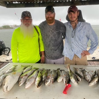 Redfish, Speckled Trout / Spotted Seatrout fishing in Galveston, Texas