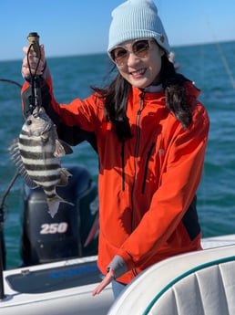 Sheepshead fishing in Mount Pleasant, South Carolina