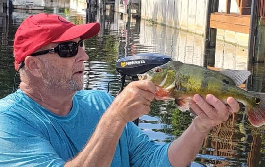 Peacock Bass fishing in Delray Beach, Florida