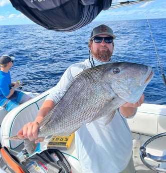 Bream, Scup Fishing in Mount Pleasant, South Carolina