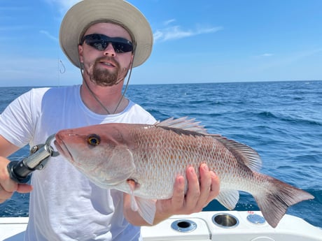 Mangrove Snapper fishing in St. Augustine, Florida