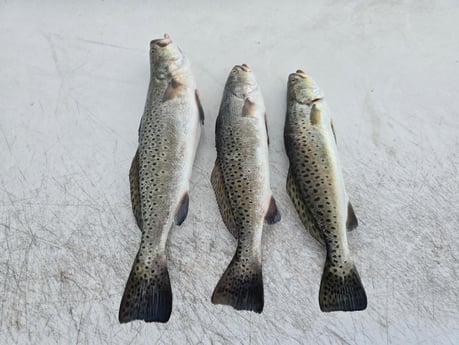 Fishing in Aransas Pass, Texas