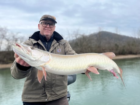 Muskie Fishing in Knoxville, Tennessee