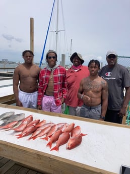 Triggerfish, Vermillion Snapper fishing in Orange Beach, Alabama