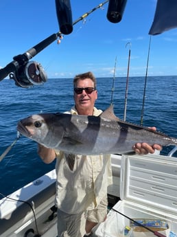 Amberjack fishing in Pensacola, Florida