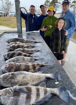 Black Drum fishing in Galveston, Texas