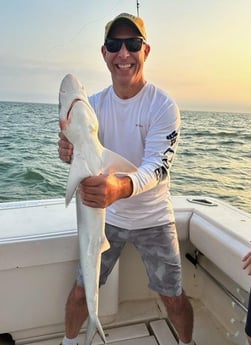 Blacktip Shark Fishing in Galveston, Texas