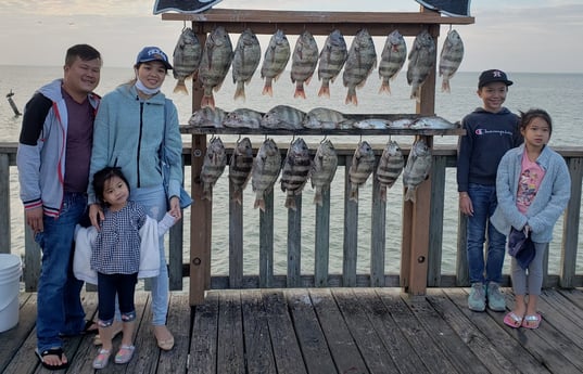 Sheepshead, Speckled Trout / Spotted Seatrout fishing in Port Isabel, Texas