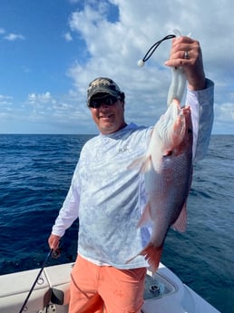 Mahi Mahi / Dorado fishing in Pensacola, Florida