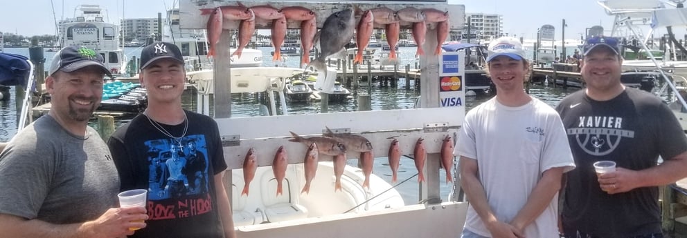 Red Snapper, Triggerfish fishing in Destin, Florida