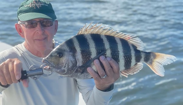 Sheepshead Fishing in Key Largo, Florida