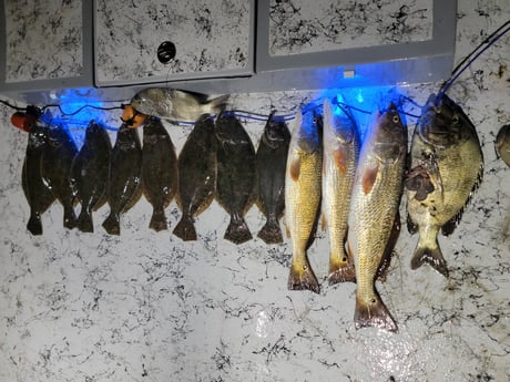 Flounder, Redfish, Sheepshead Fishing in South Padre Island, Texas