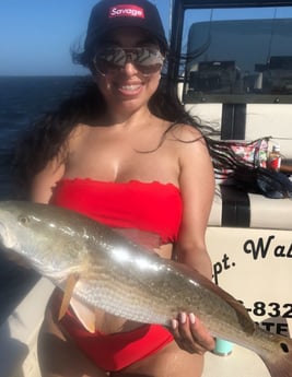 Redfish fishing in South Padre Island, Texas