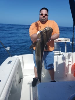 Gag Grouper fishing in Port Orange, Florida