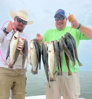 Speckled Trout / Spotted Seatrout fishing in Galveston, Texas