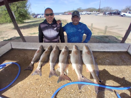 Redfish fishing in San Antonio, Texas