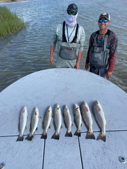 Redfish, Speckled Trout / Spotted Seatrout fishing in Port O&#039;Connor, Texas