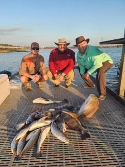 Black Drum, Redfish, Speckled Trout / Spotted Seatrout Fishing in Galveston, Texas