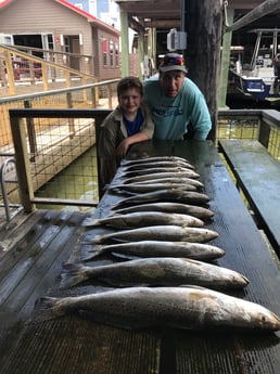 Speckled Trout / Spotted Seatrout fishing in Galveston, Texas