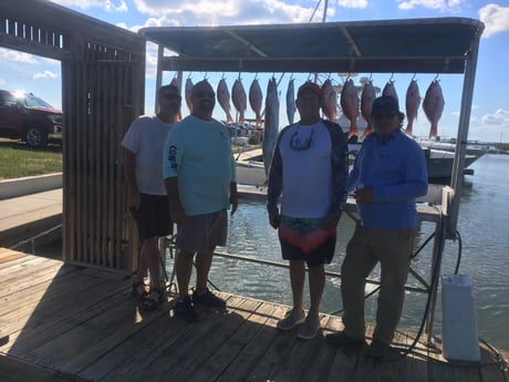 King Mackerel / Kingfish, Red Snapper fishing in South Padre Island, Texas