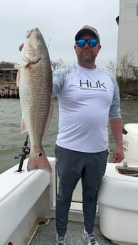 Redfish Fishing in Galveston, Texas