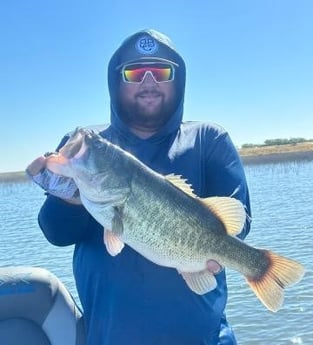 Largemouth Bass Fishing in Alba, Texas