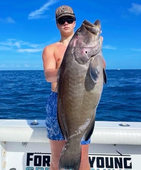 Black Grouper Fishing in Islamorada, Florida