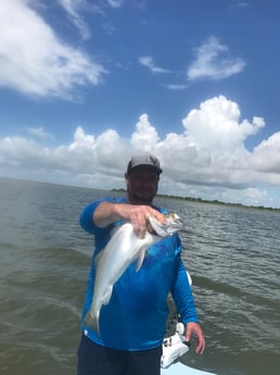 Speckled Trout / Spotted Seatrout fishing in Galveston, Texas